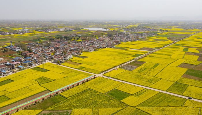 陕西处不处于地震带 陕西省在地震带上吗