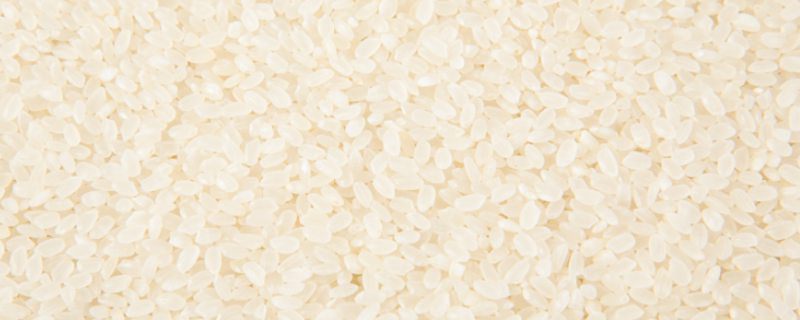 大米怎么保存不生虫子 大米如何存放不长虫