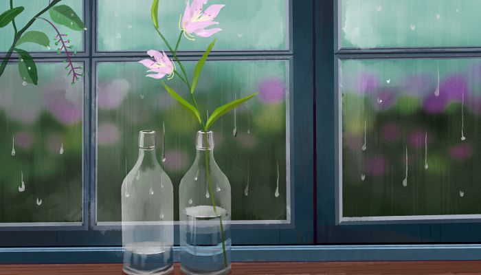 杭州梅雨季节 杭州市的梅雨季