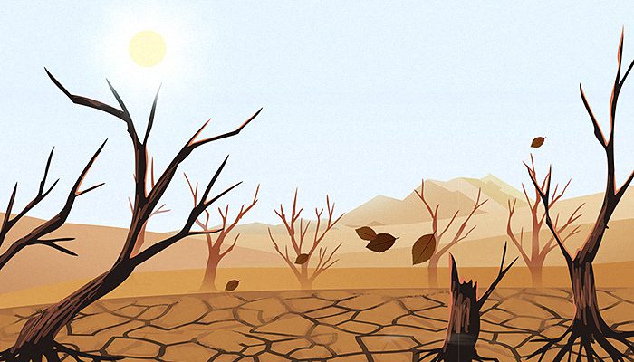 中央气象台继续发布干旱黄色预警：安徽湖北湖南等干旱将持续或发展